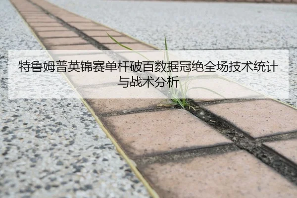 特鲁姆普英锦赛单杆破百数据冠绝全场技术统计与战术分析